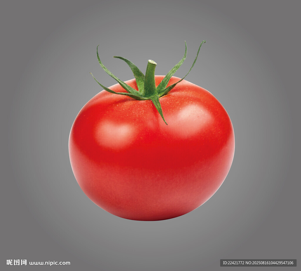 西红柿矢量