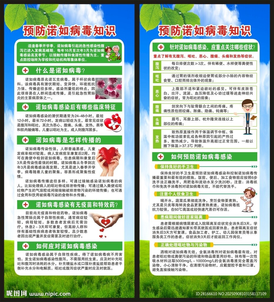 健康教育知识展架