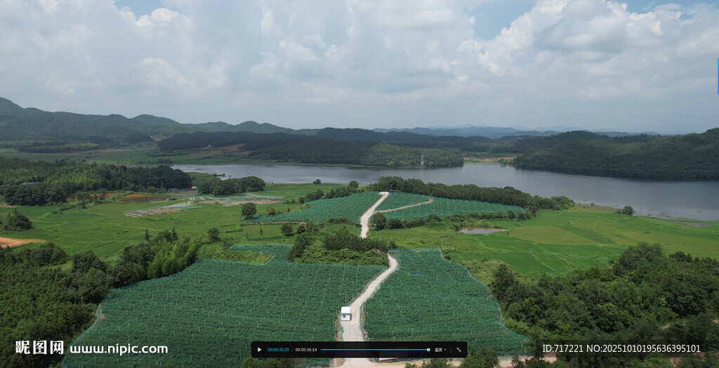 俯瞰翠绿田野与蜿蜒河流