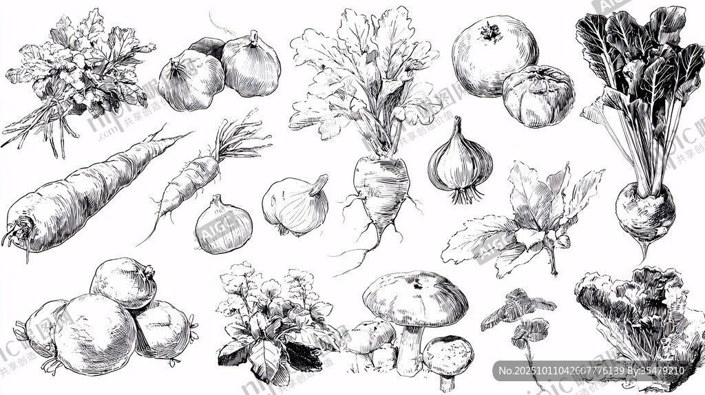 手绘蔬菜瓜果素描集合