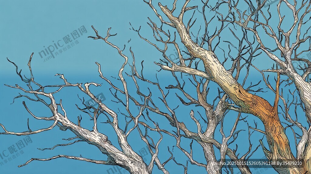 蓝天映衬下的光秃树枝