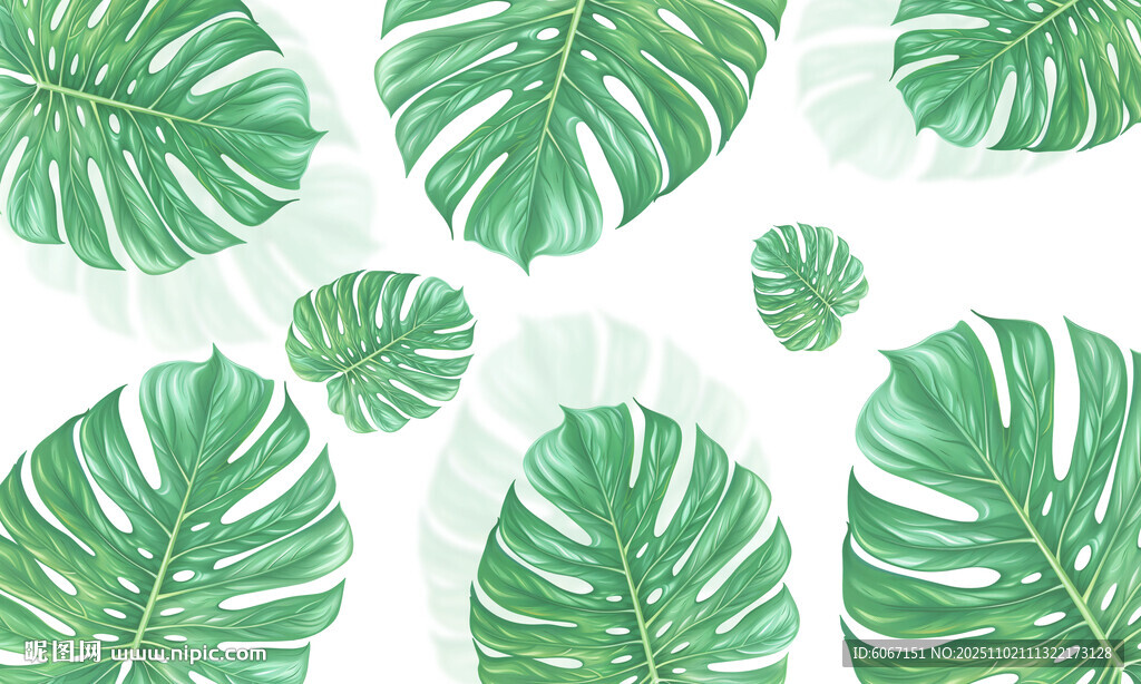 热带雨林绿植雾气模糊背景