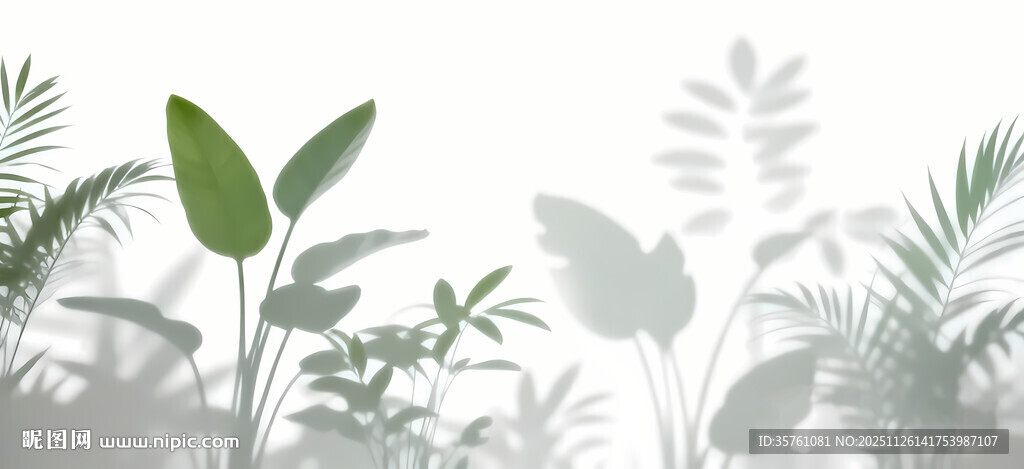 雾气磨砂膜效果绿植贴图