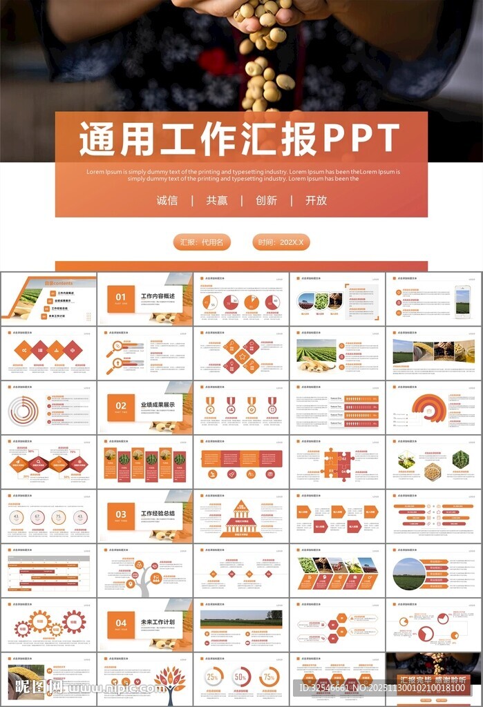 大豆种植产业工作总结年终汇报