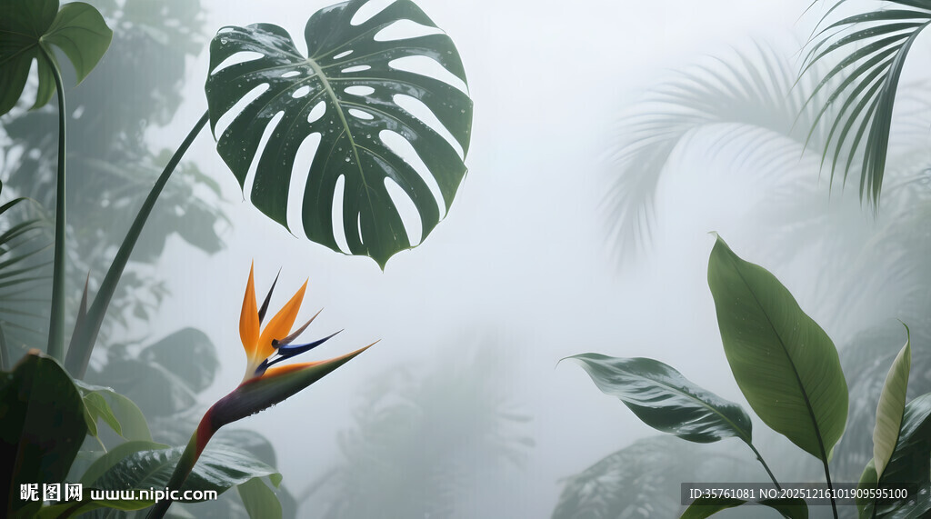 雾气磨砂膜效果绿植贴图