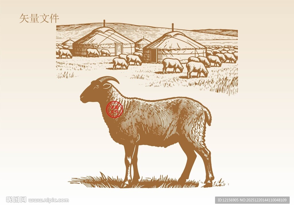 羊插画