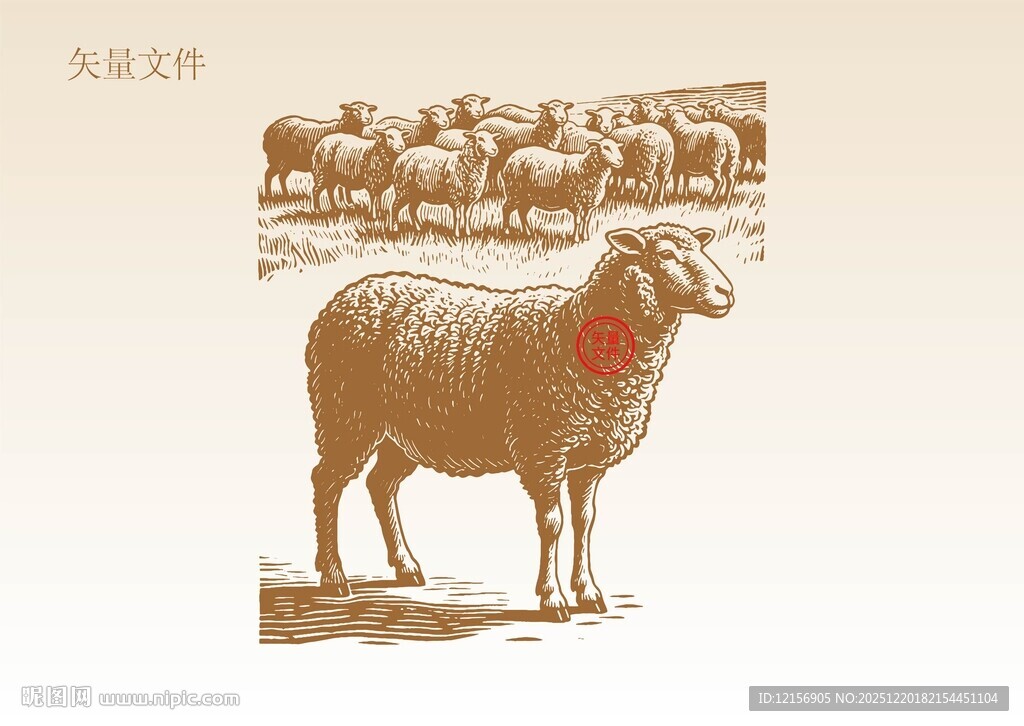 手绘羊插画