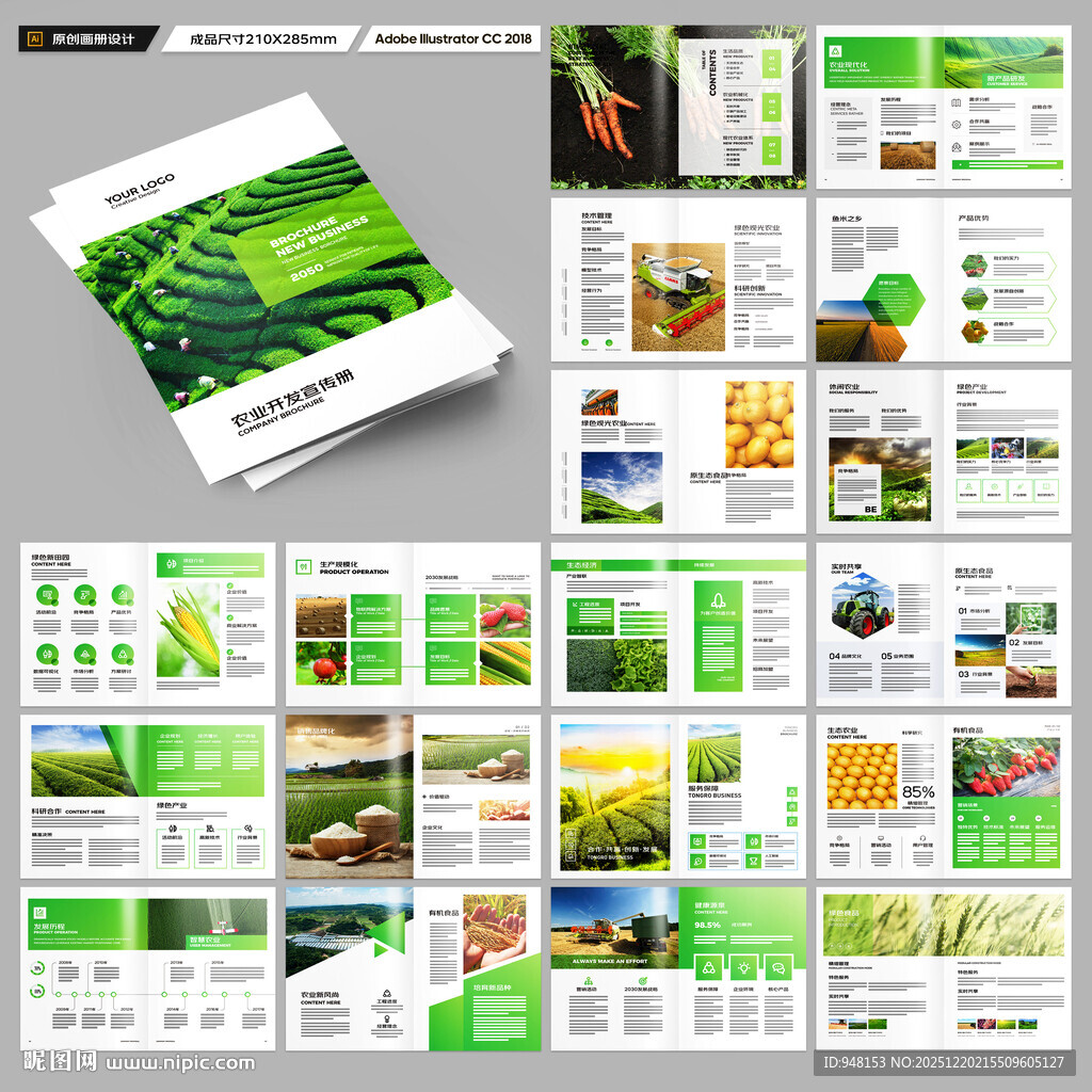 农产品宣传册