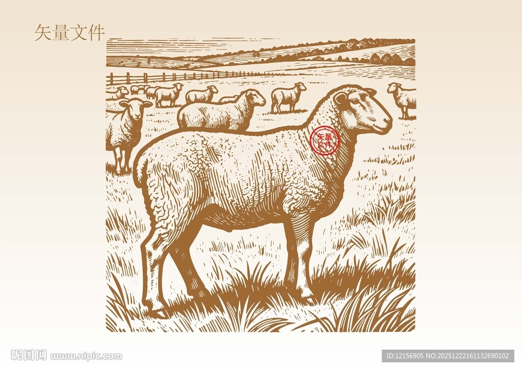 手绘羊素描插画