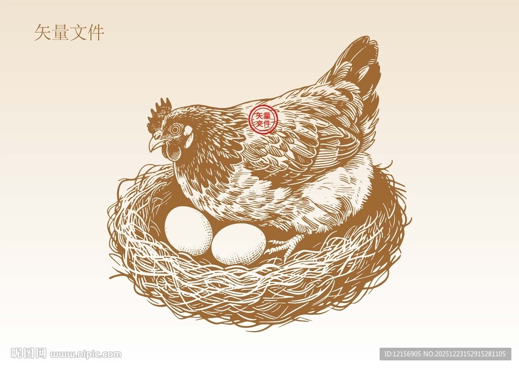 母鸡插画