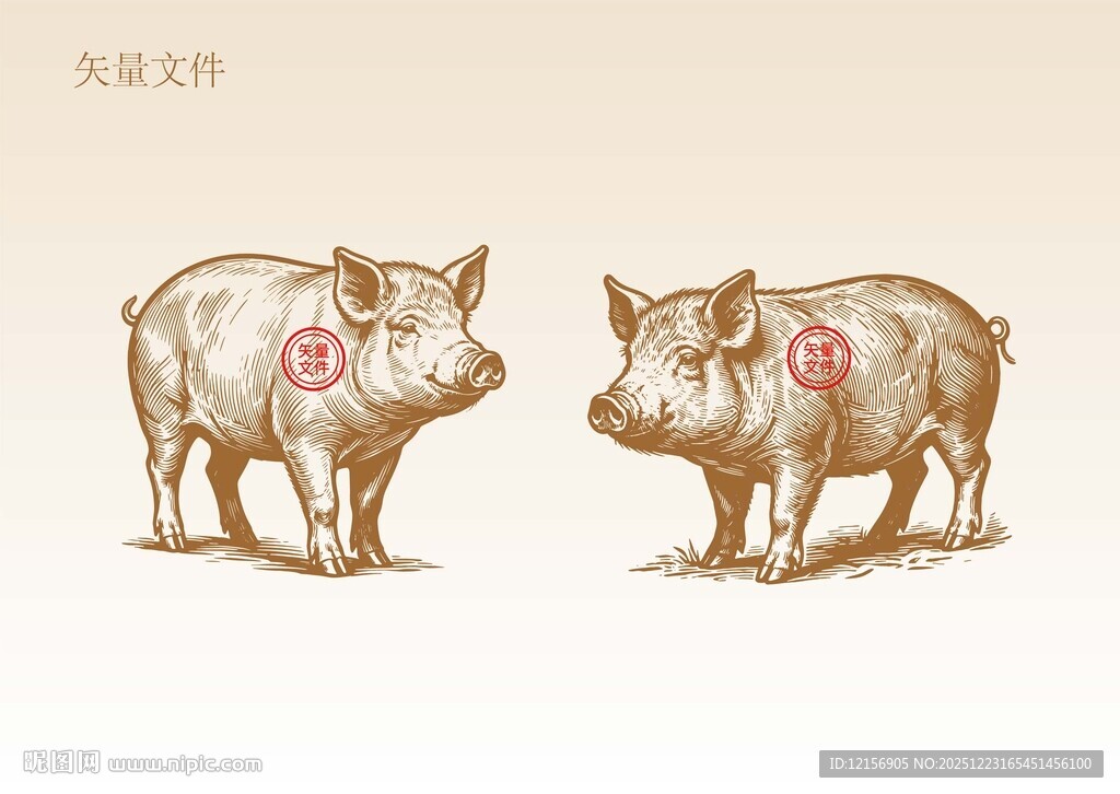 手绘猪插画版画