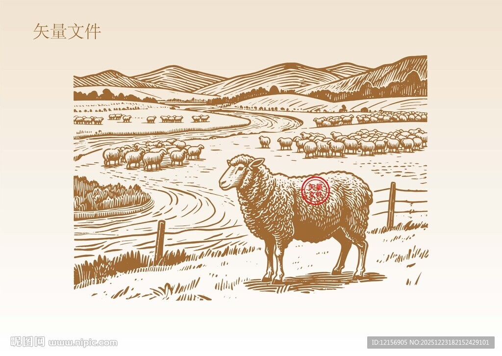 手绘羊插画
