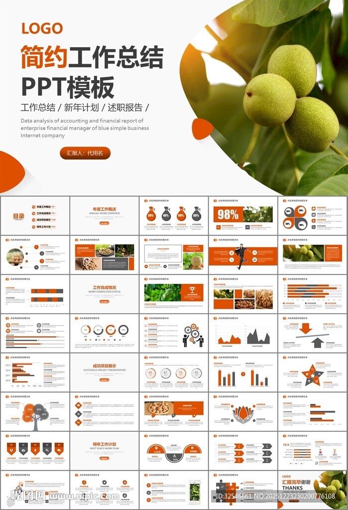 精美核桃种植产业总结计划ppt