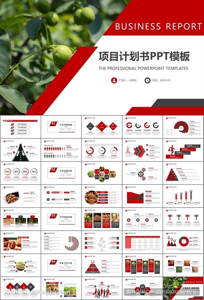 精美核桃种植产业总结计划ppt