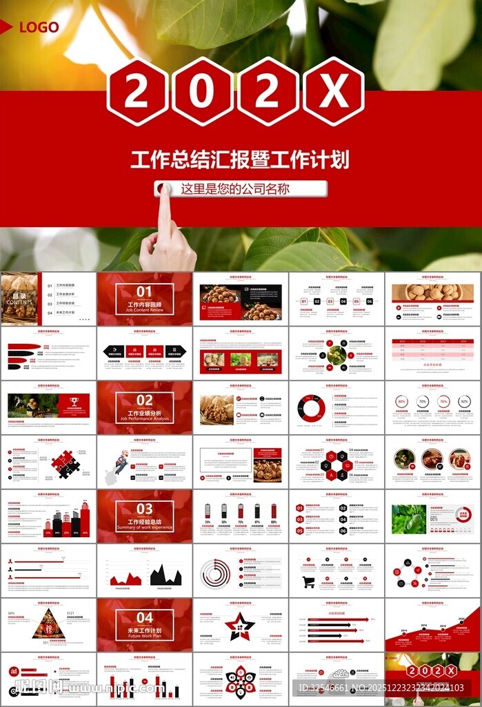 精美核桃种植产业总结计划ppt