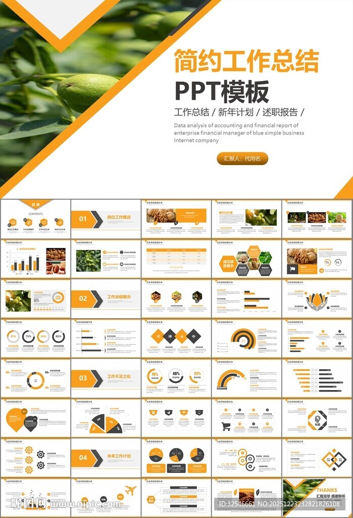 精美核桃种植产业总结计划ppt