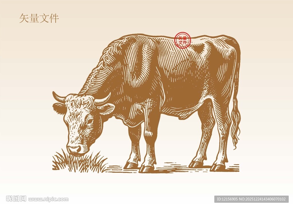 手绘牛素描插画版画