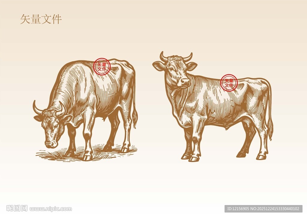 手绘牛素描插画版画