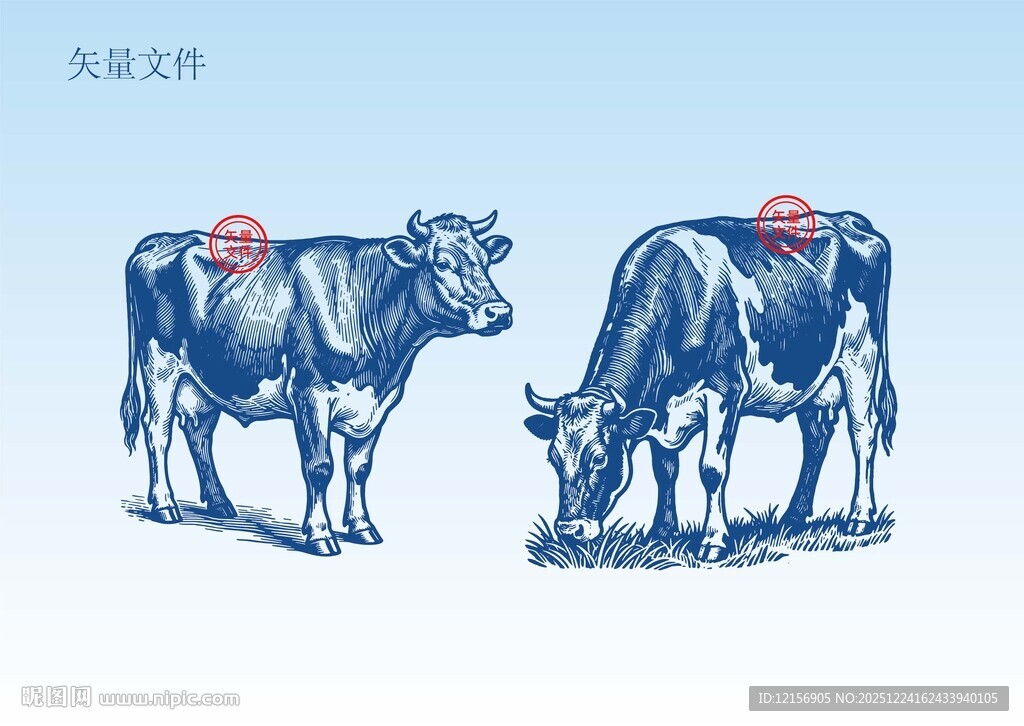 奶牛素描插画