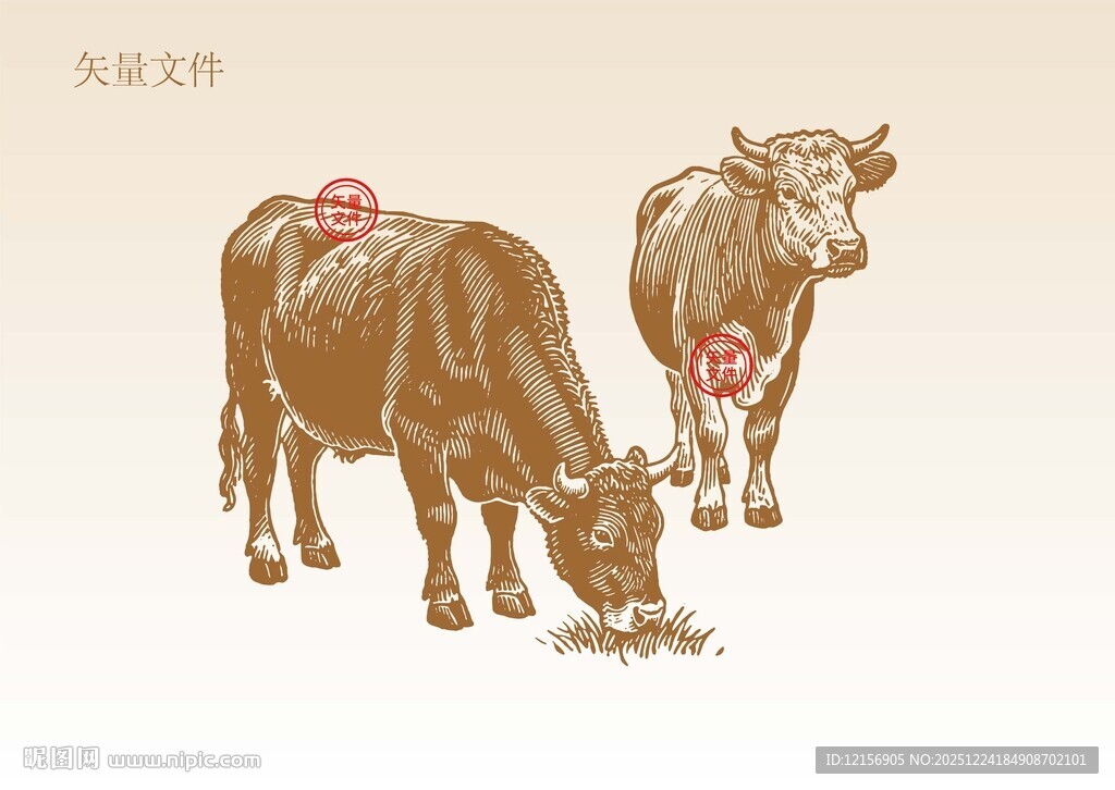 牛素描插画