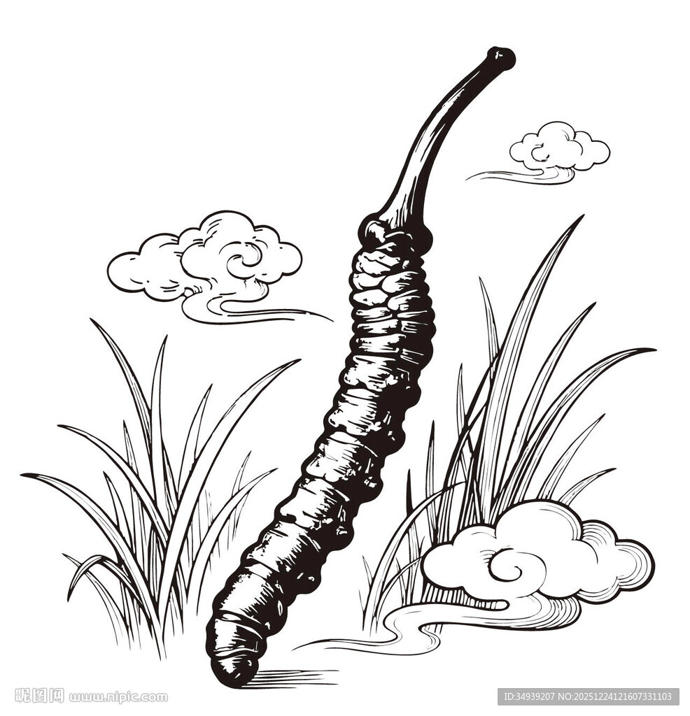 冬虫夏草 场景矢量图