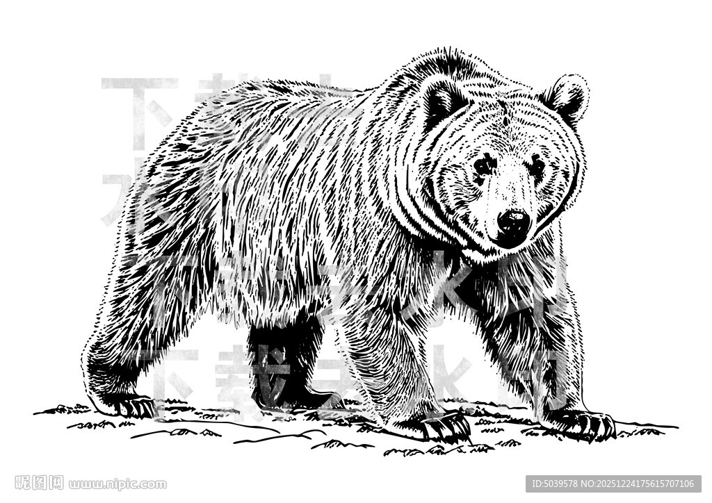 矢量手绘线描黑熊图