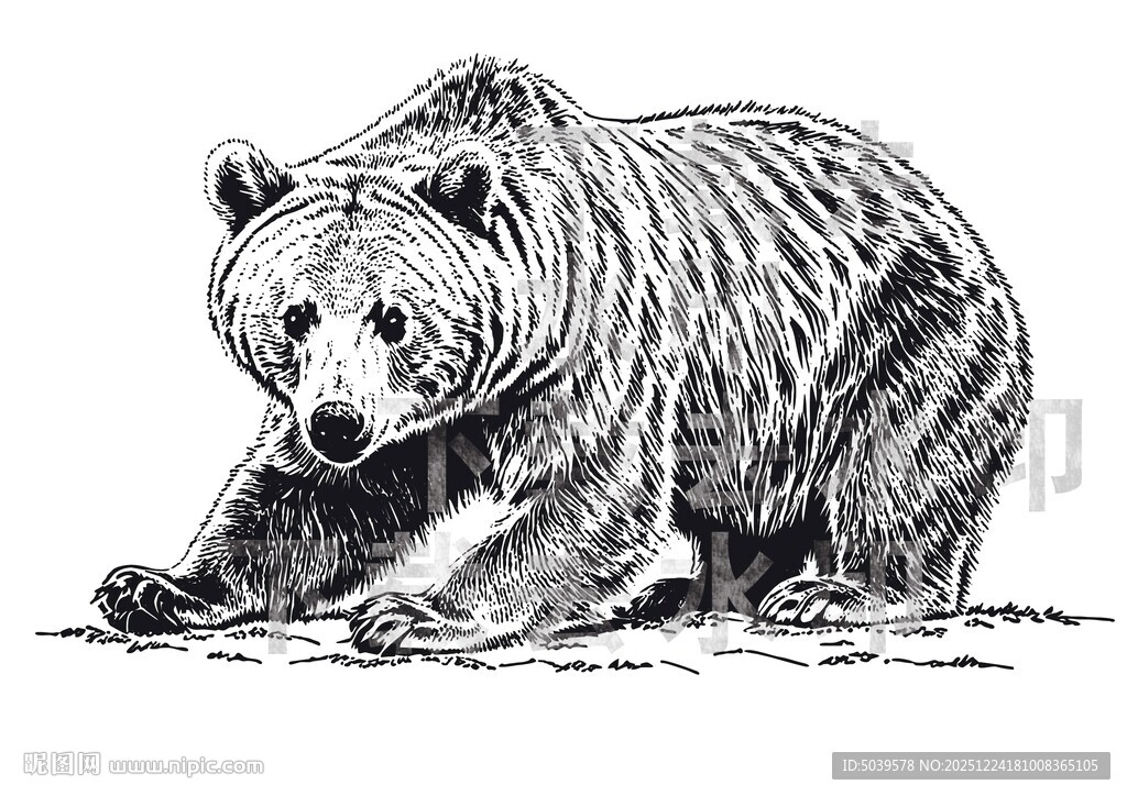 矢量手绘线描黑熊图