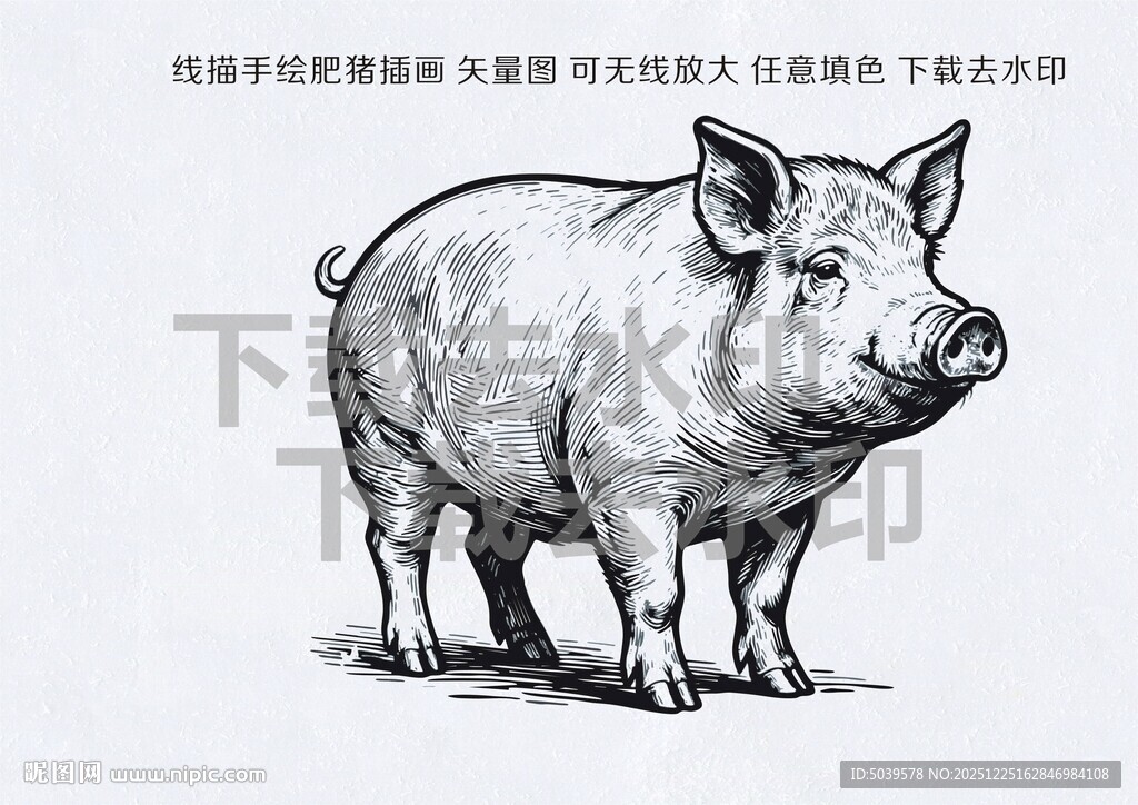 手绘线描矢量肥猪