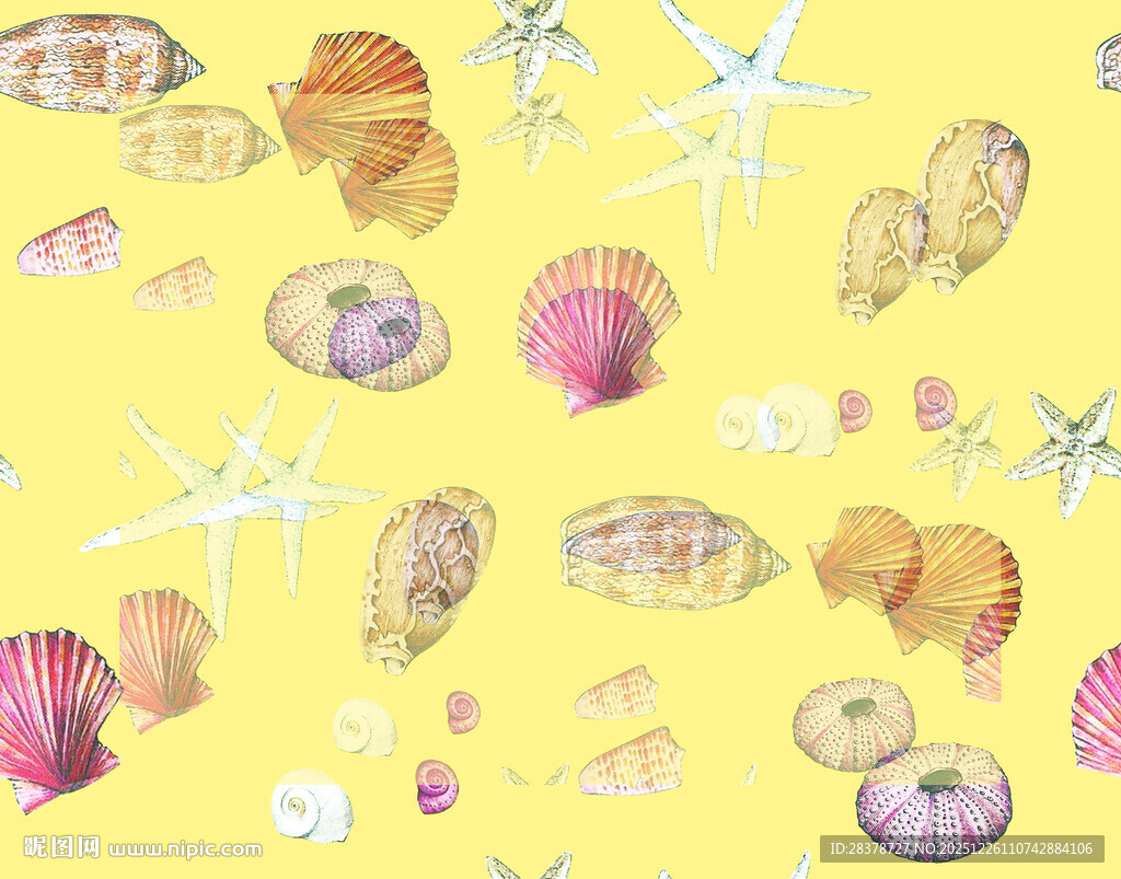 黄色背景上的贝壳与海星