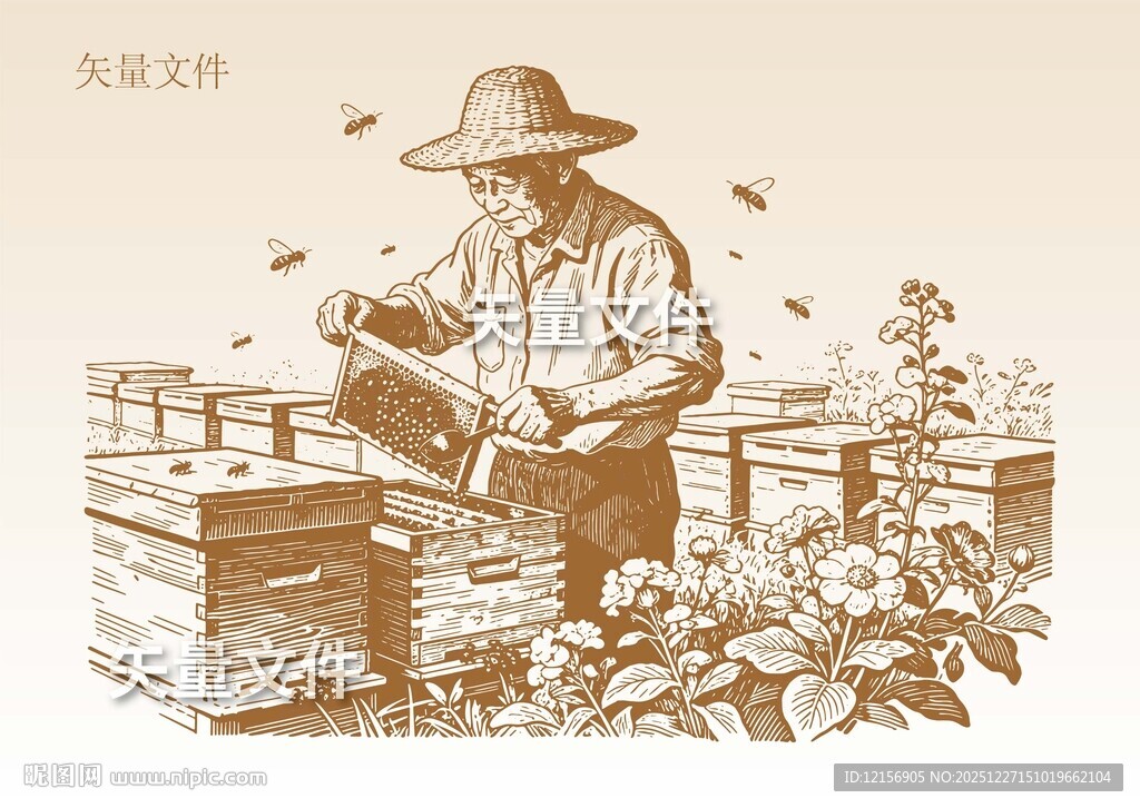 手绘蜂农素描 取蜜插画