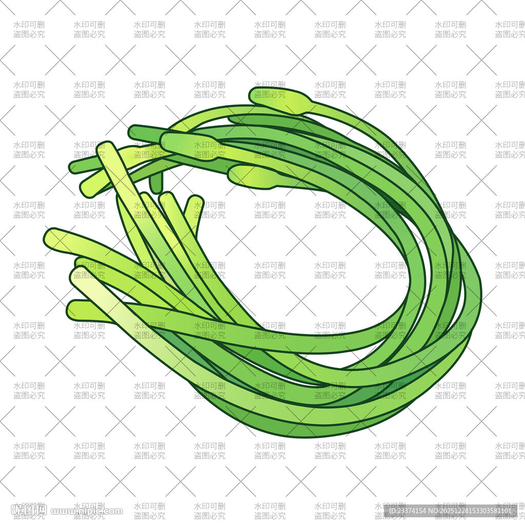 手绘新鲜蒜苔插画