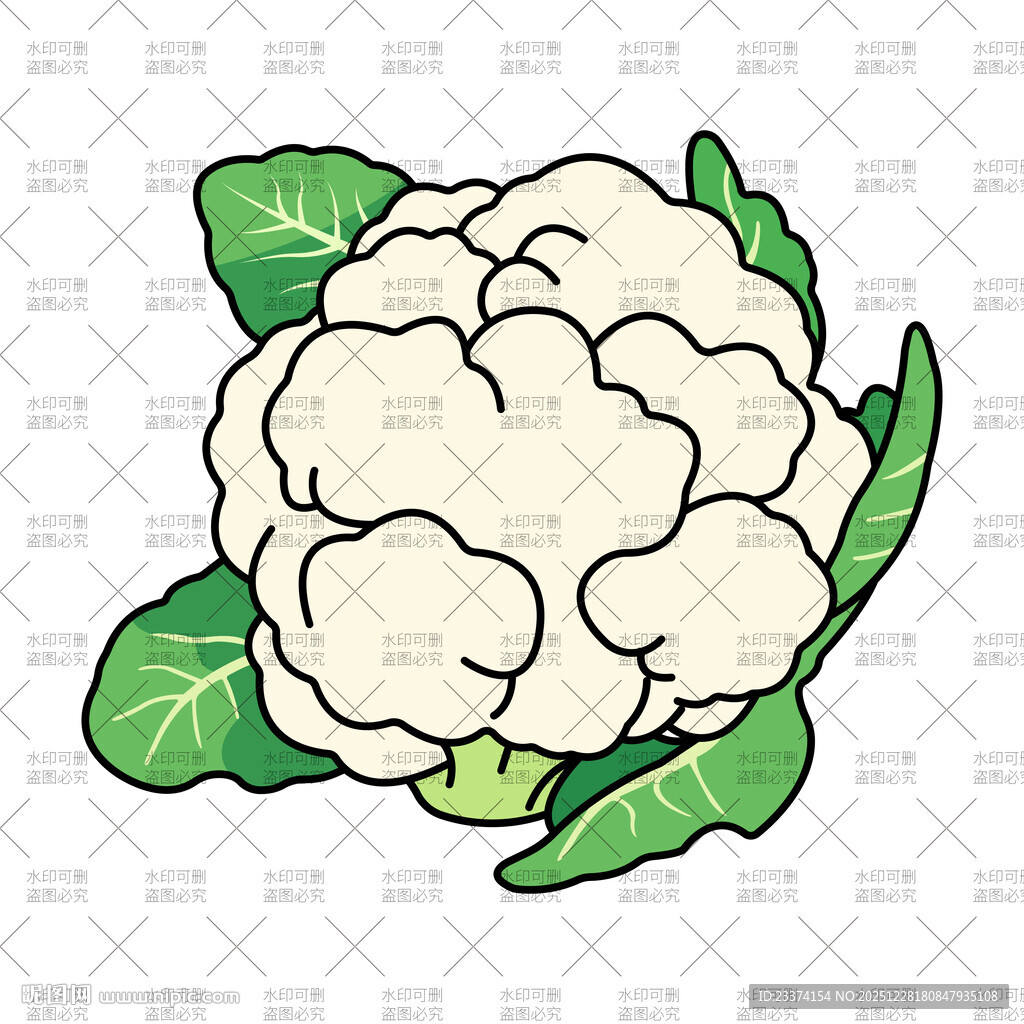 卡通白花菜插画
