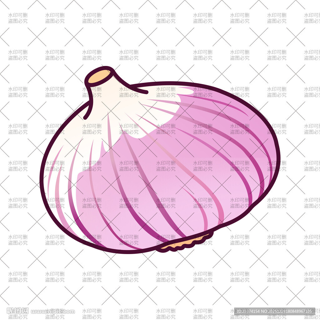 手绘紫皮洋葱插画
