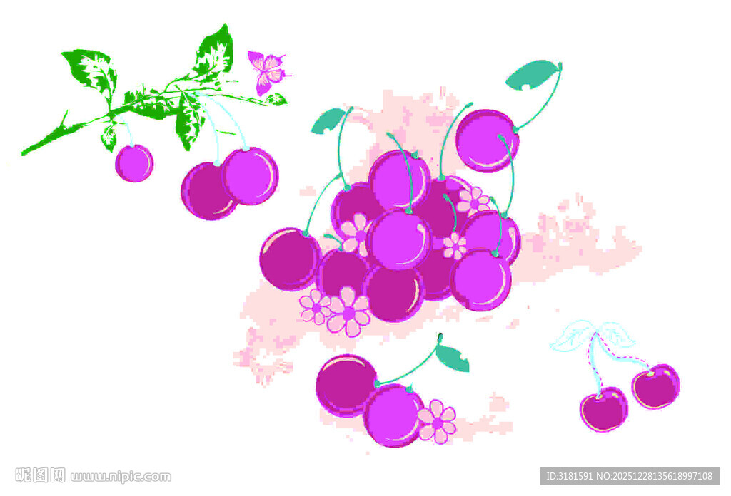 梦幻紫色樱桃插画