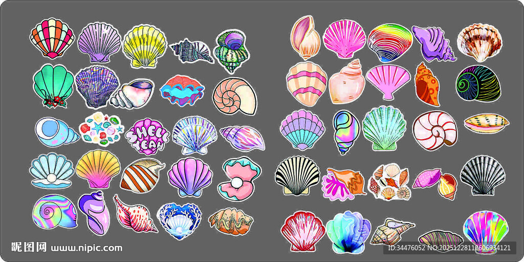 手绘贝壳卡通贝壳矢量贝壳