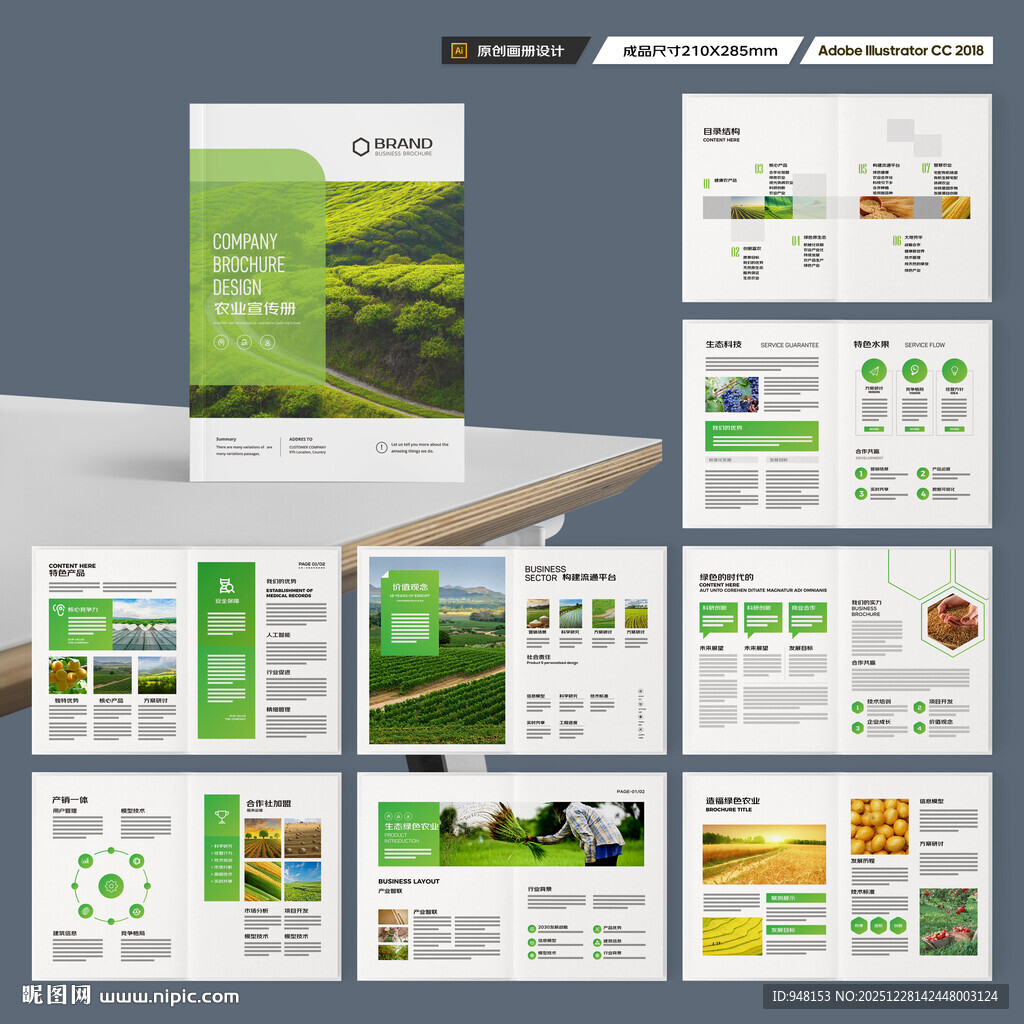 农产品宣传册