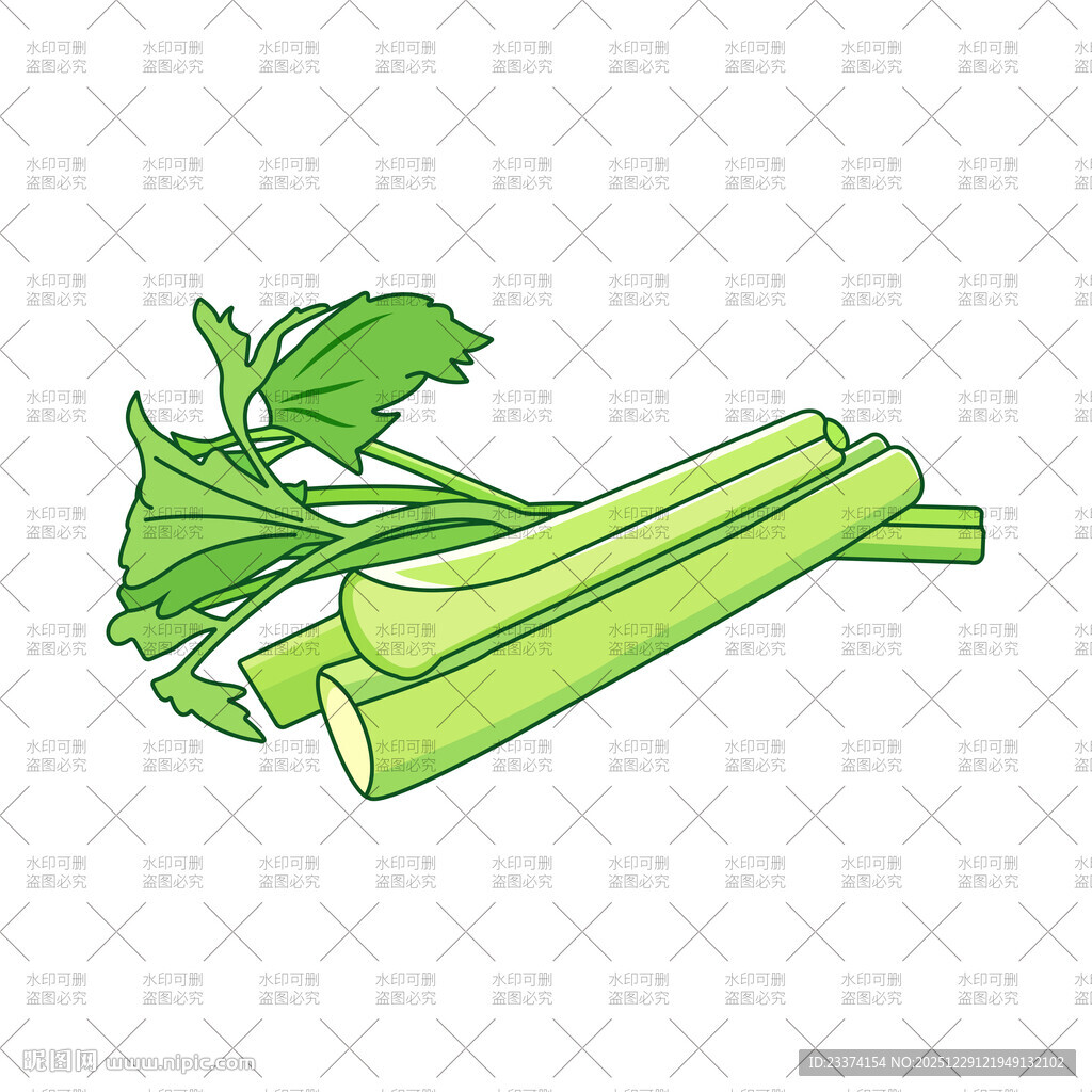 新鲜芹菜插画
