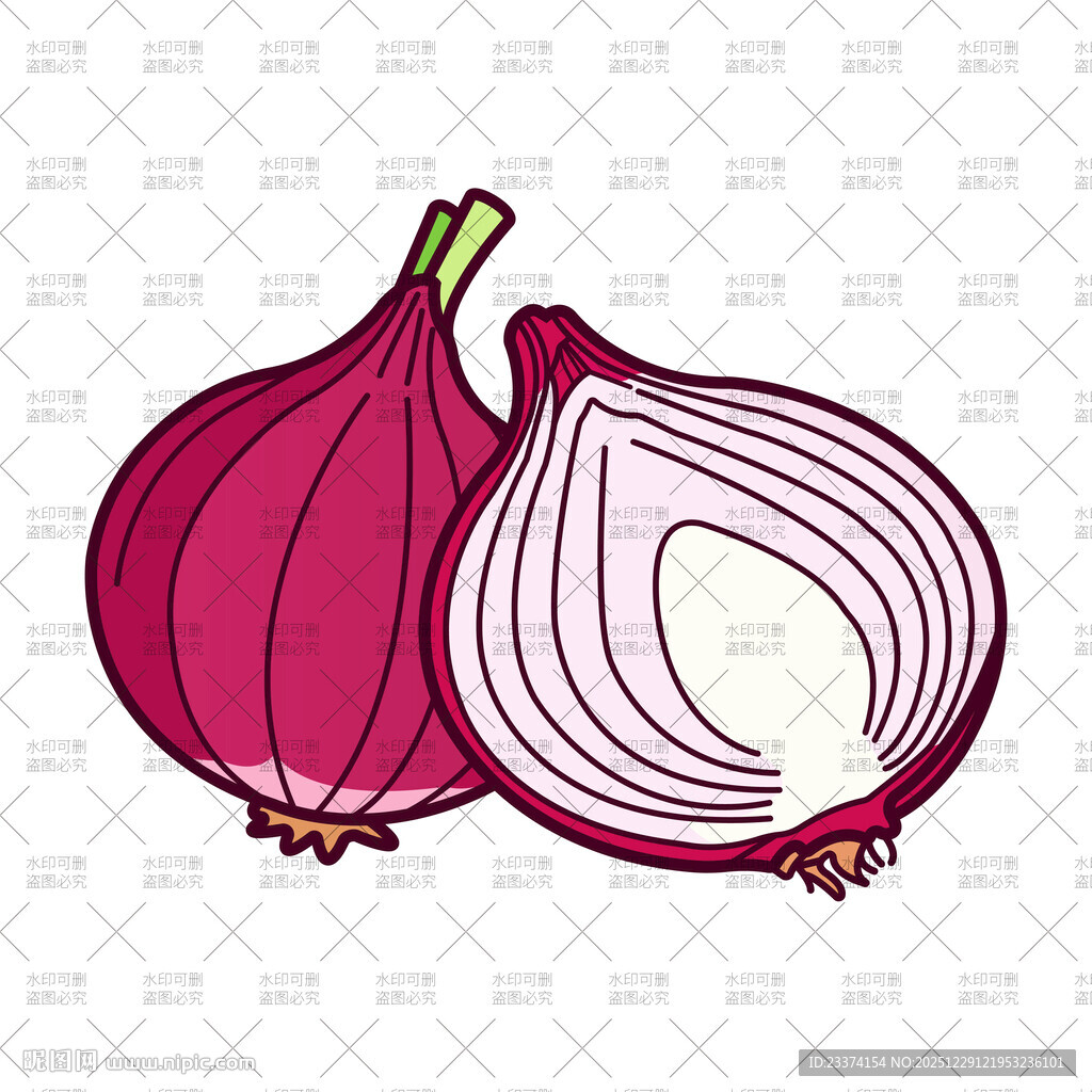 洋葱插画