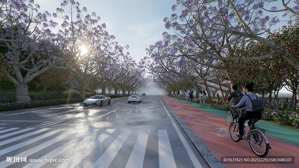 清晨骑行于林荫道路间