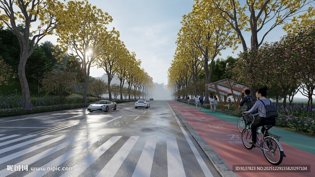 秋日骑行在林荫大道