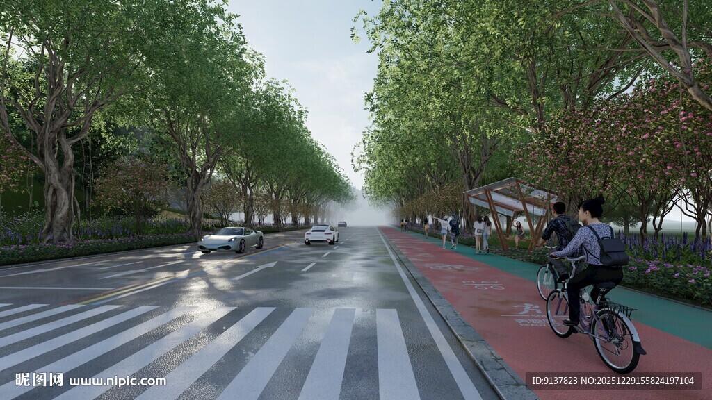 城市林荫道上的骑行者
