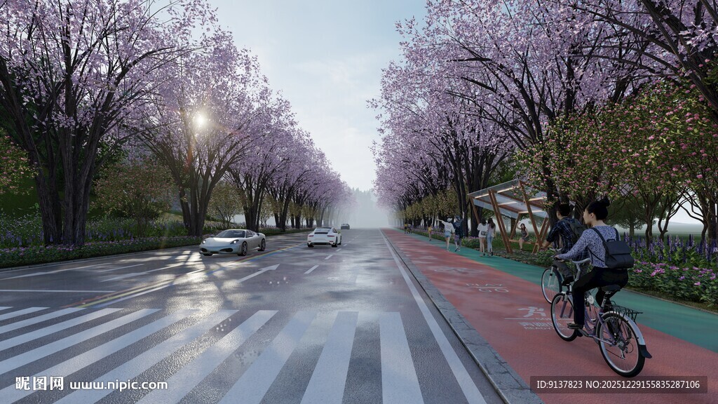 春日樱花道上的骑行者