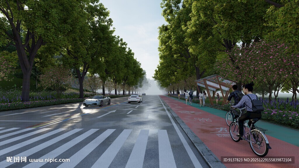 城市林荫道上的骑行者