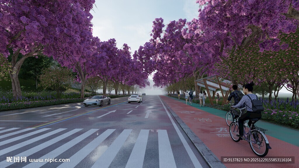 紫花树下的骑行风景