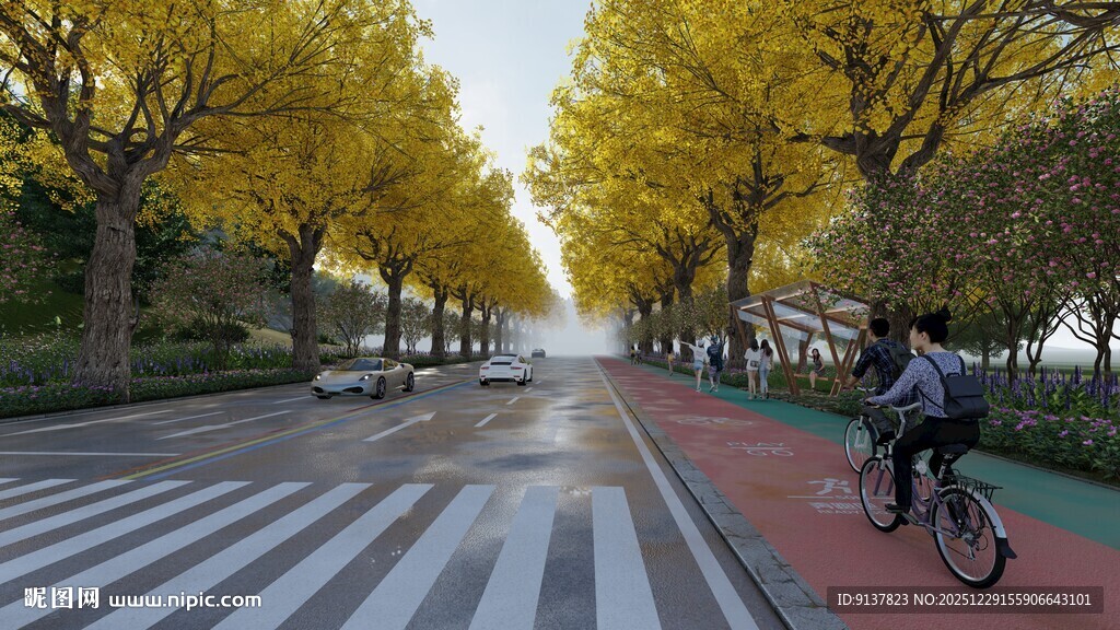 秋日骑行在金黄林荫道