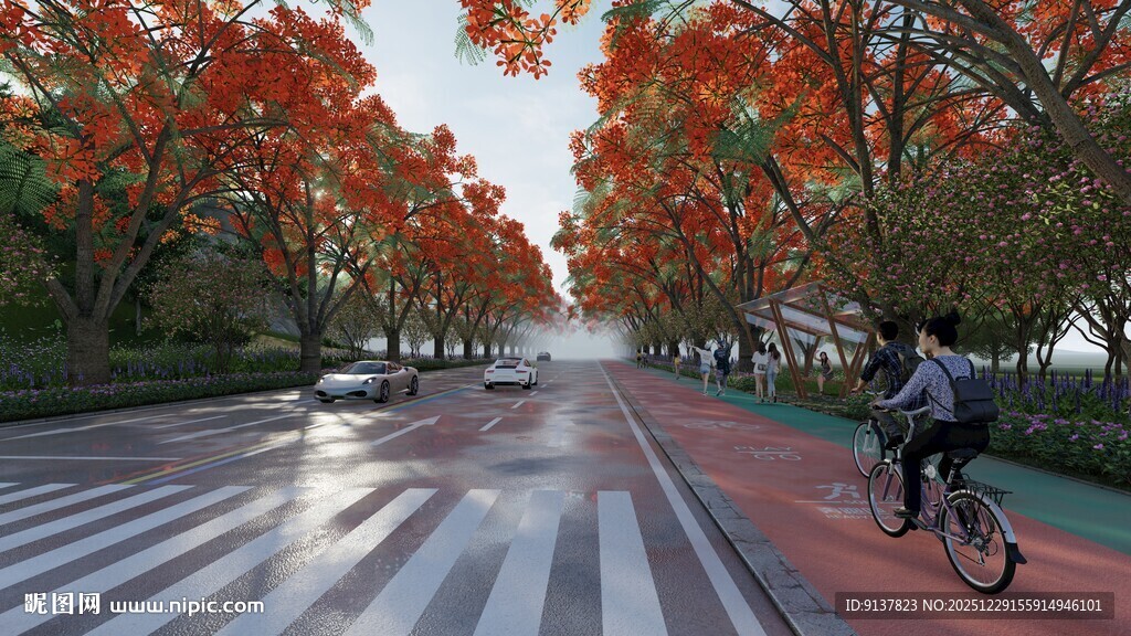 秋日骑行于红叶铺就之路