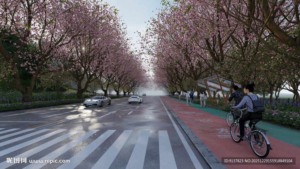 樱花道上的骑行风景