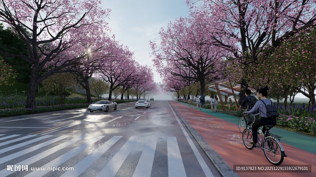 春日骑行于烂漫樱花道