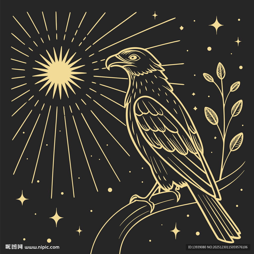 夜空中的金鸟与光芒