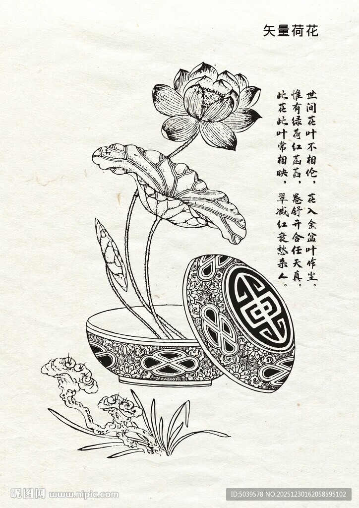 矢量线描手绘荷花